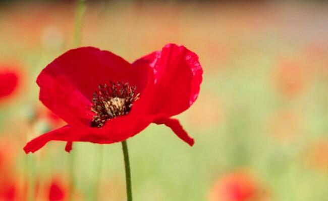 Blog Header Image